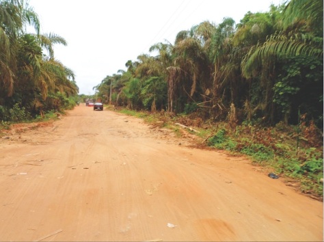 Beautiful scenery of whispering palms on both sides of the road marred by dreadful roads
